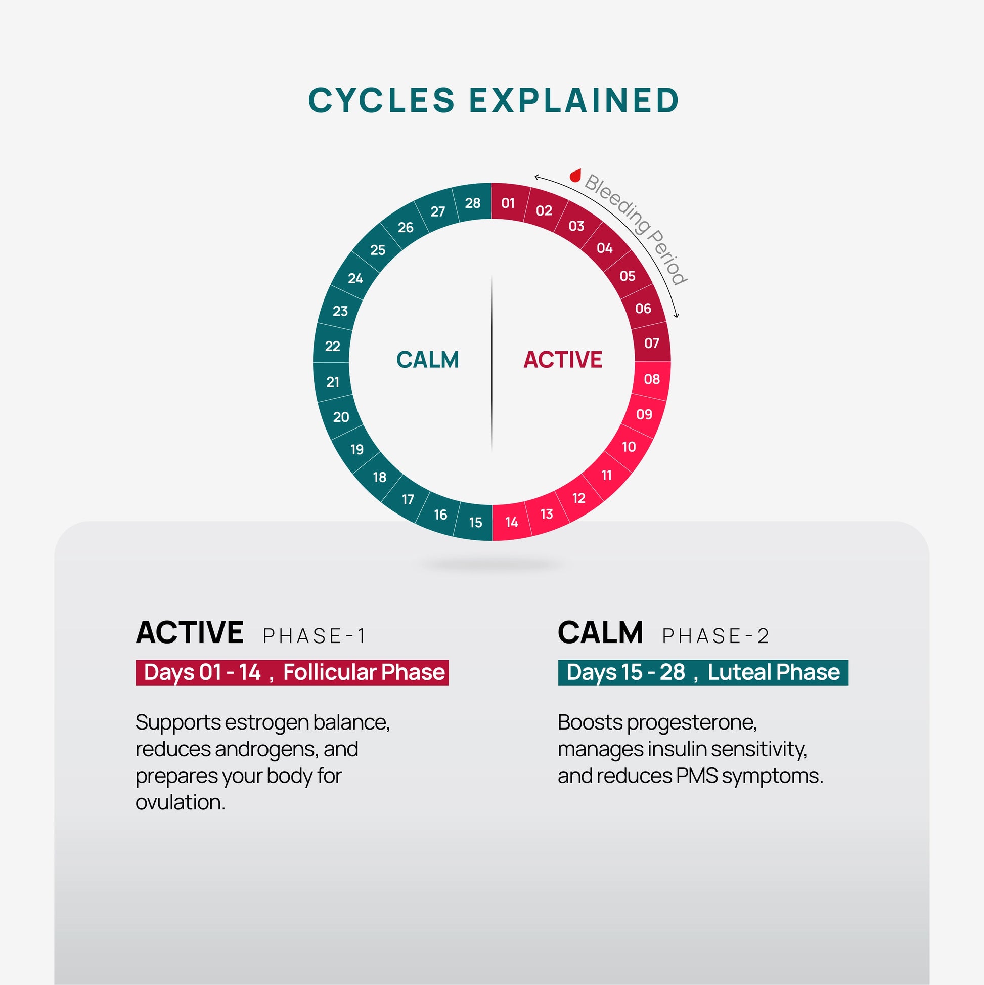 Fitrition Seed Cycling Diagram explaining menstrual cycle phases with active and calm periods.