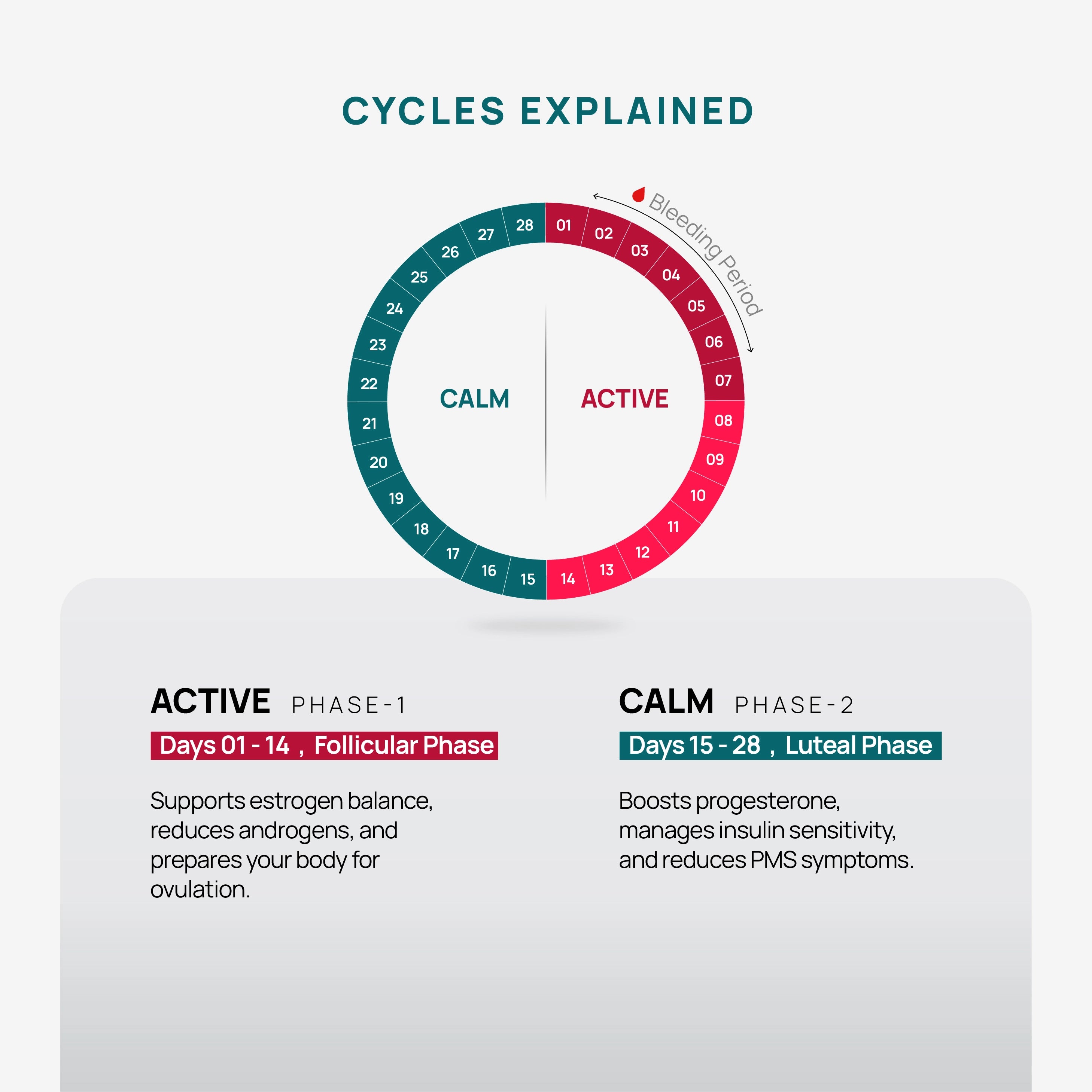 Fitrition Seed Cycling Diagram explaining menstrual cycle phases with active and calm periods.
