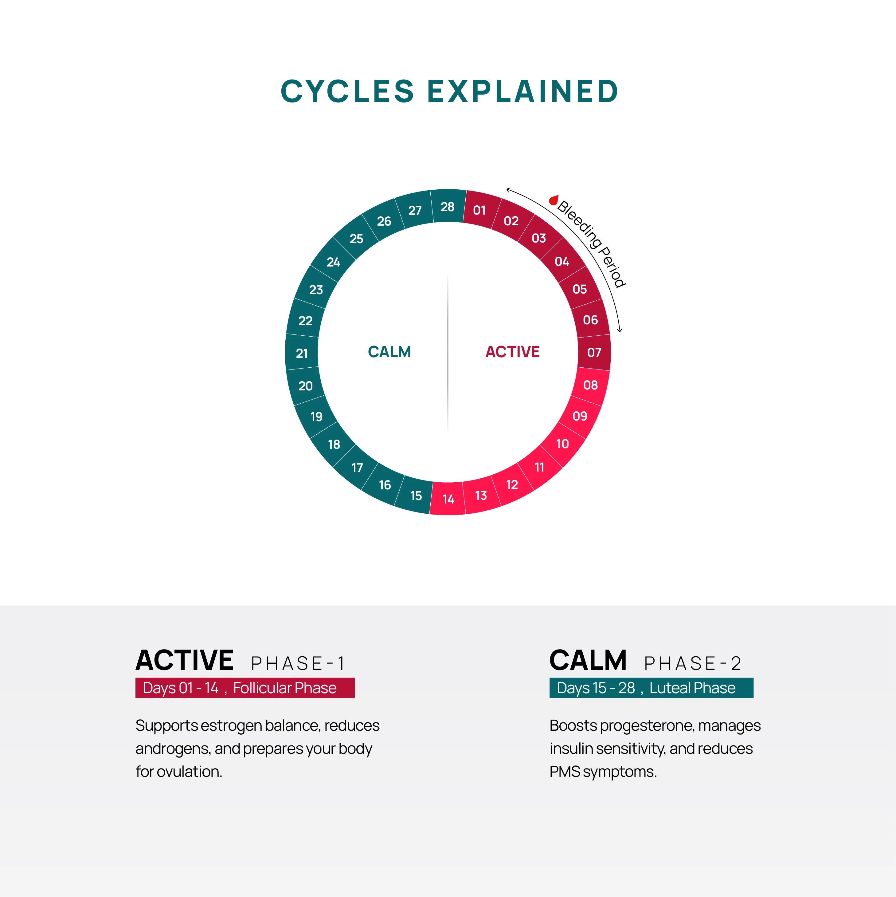 Diagram explaining menstrual cycle phases with active and calm phases.